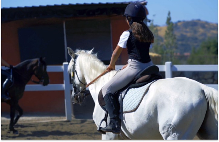image-95-1.png